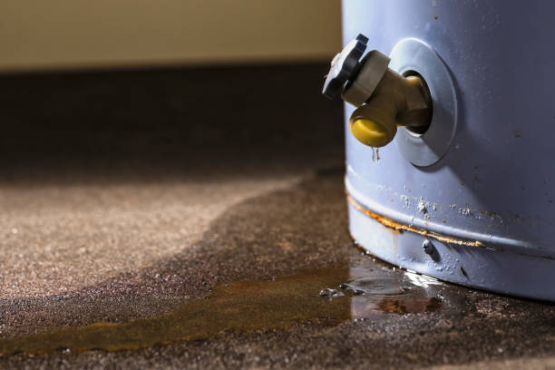 Best 24-hour water damage restoration  in Bethel, WA