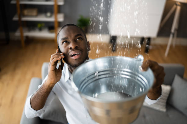 Best 24/7 water damage repair  in Bethel, WA