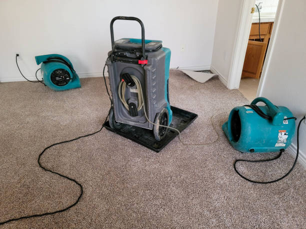 Best Professional water damage repair  in Bethel, WA
