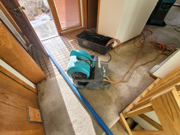 Best Water damage restoration near me  in Bethel, WA