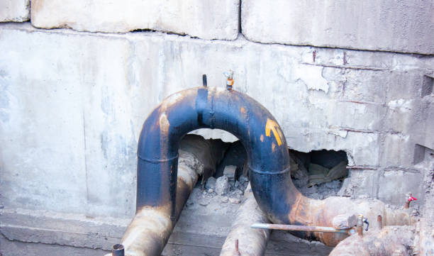 Best Flood damage cleanup  in Bethel, WA